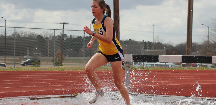 steeplechase water
